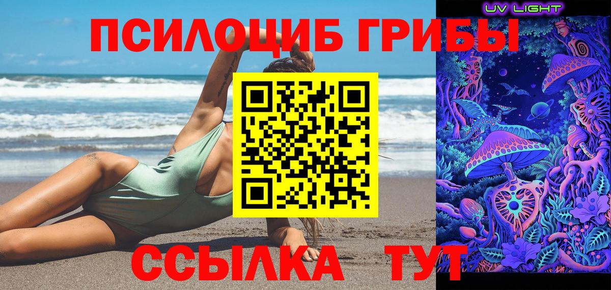 Псилоцибиновые грибы Psilocybe  закладки  Домодедово  Вход с VPN 